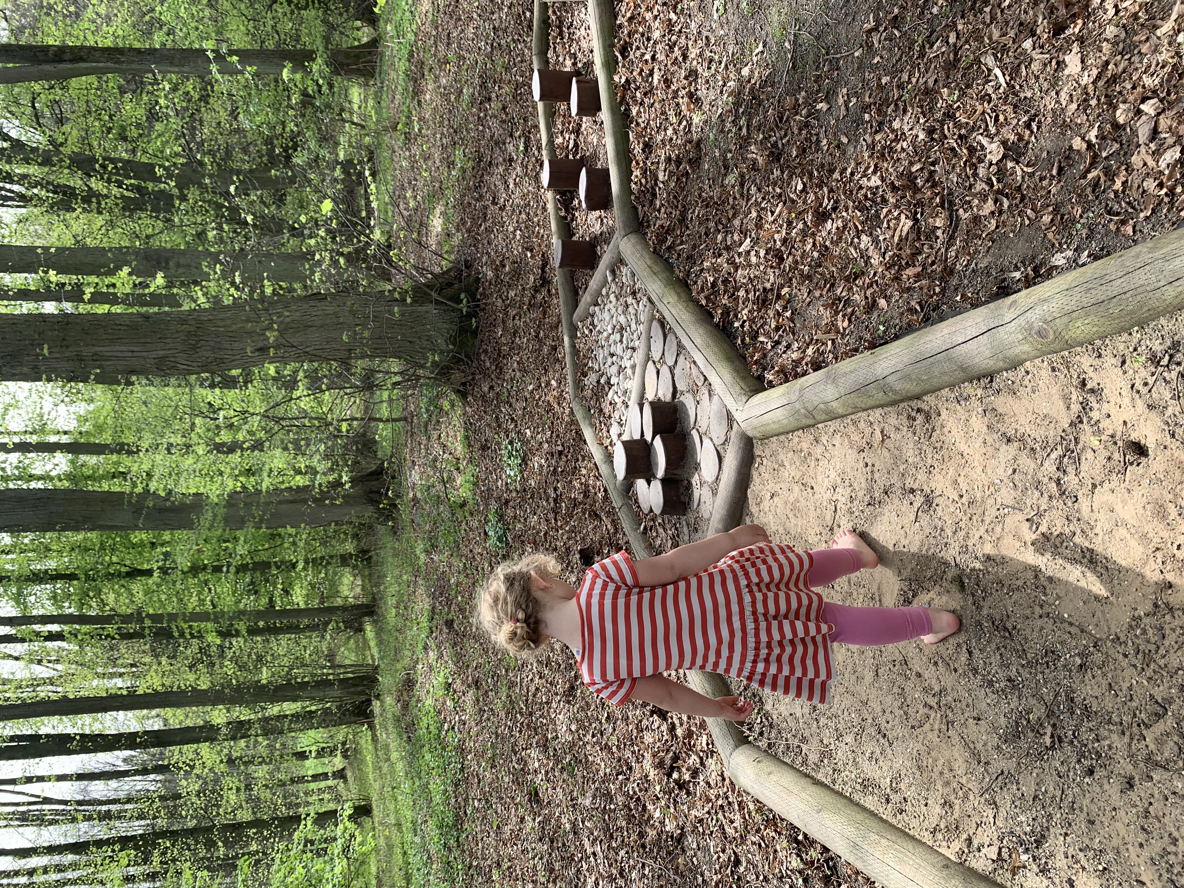 Dítě jde v lese po chodníku