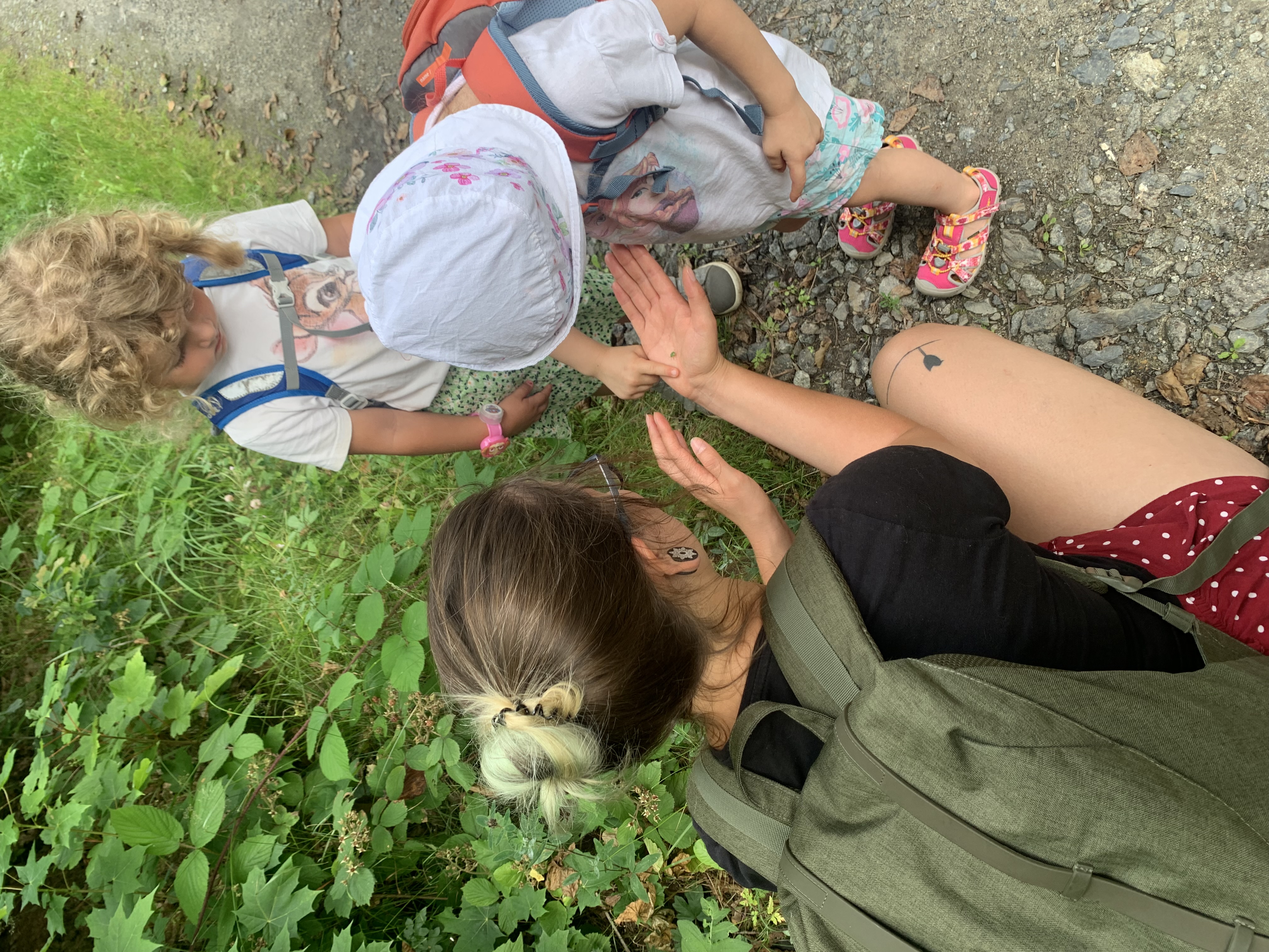 Anička ukazuje dětem hmyz