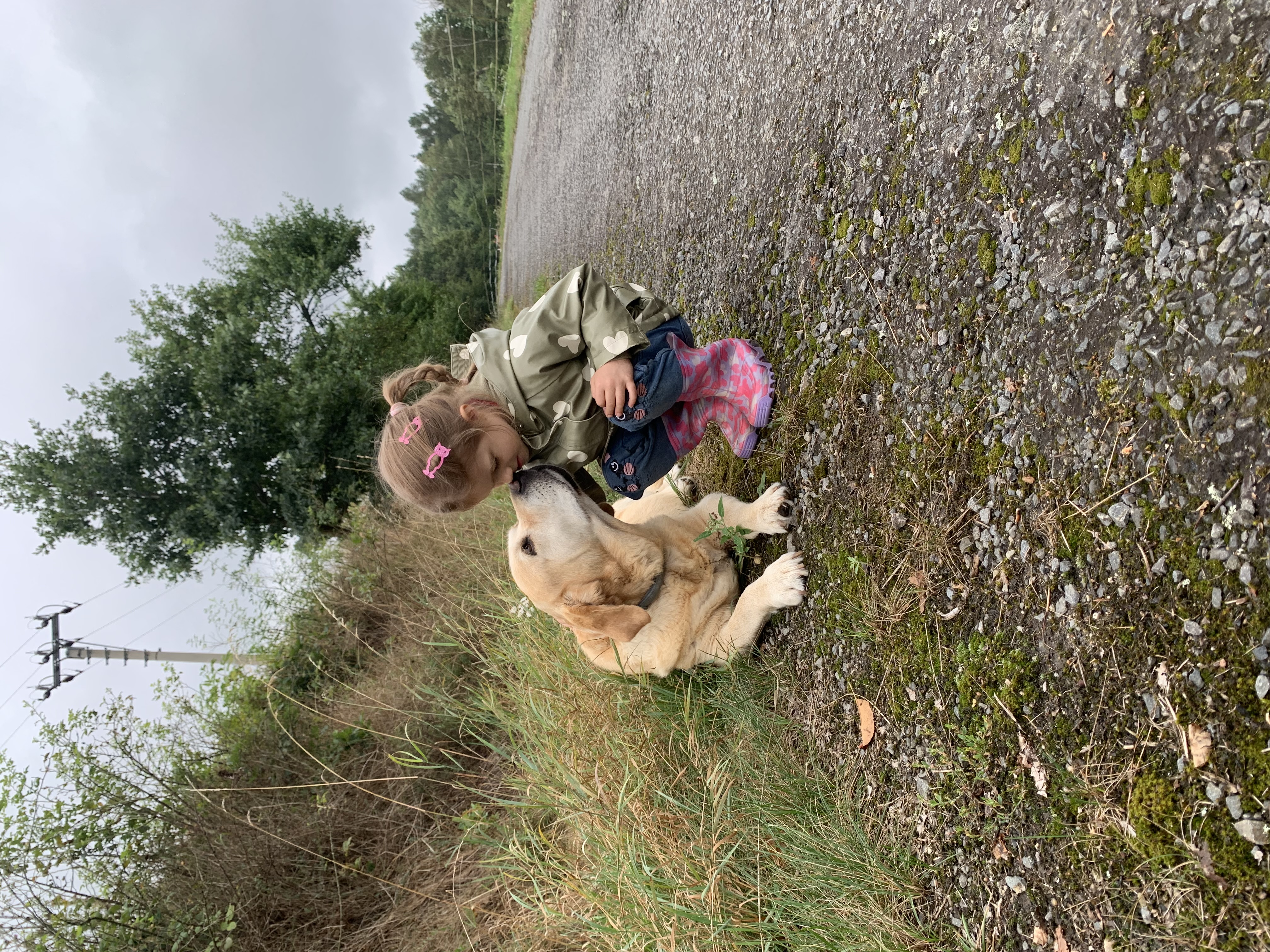 Dítě hladí pejska