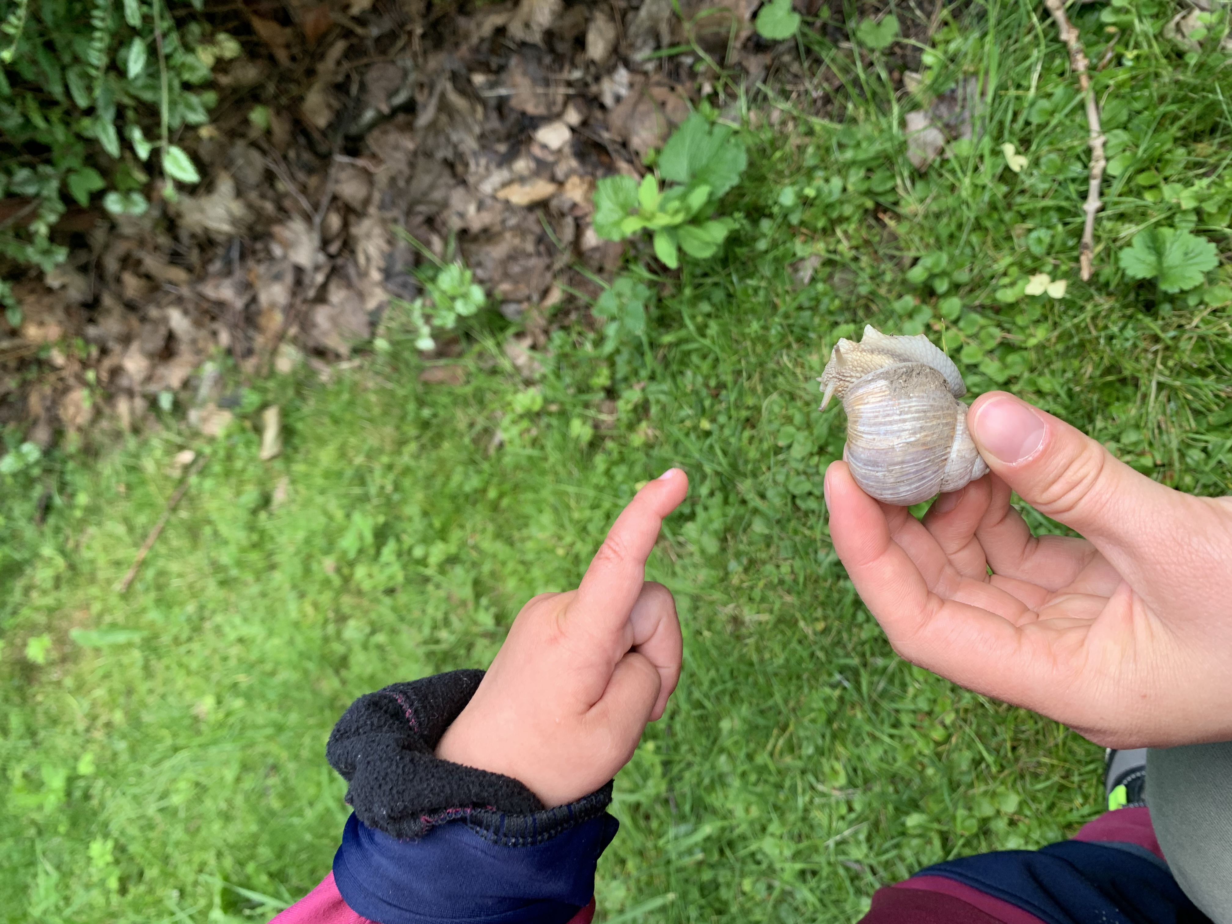 Anička ukazuje šneka