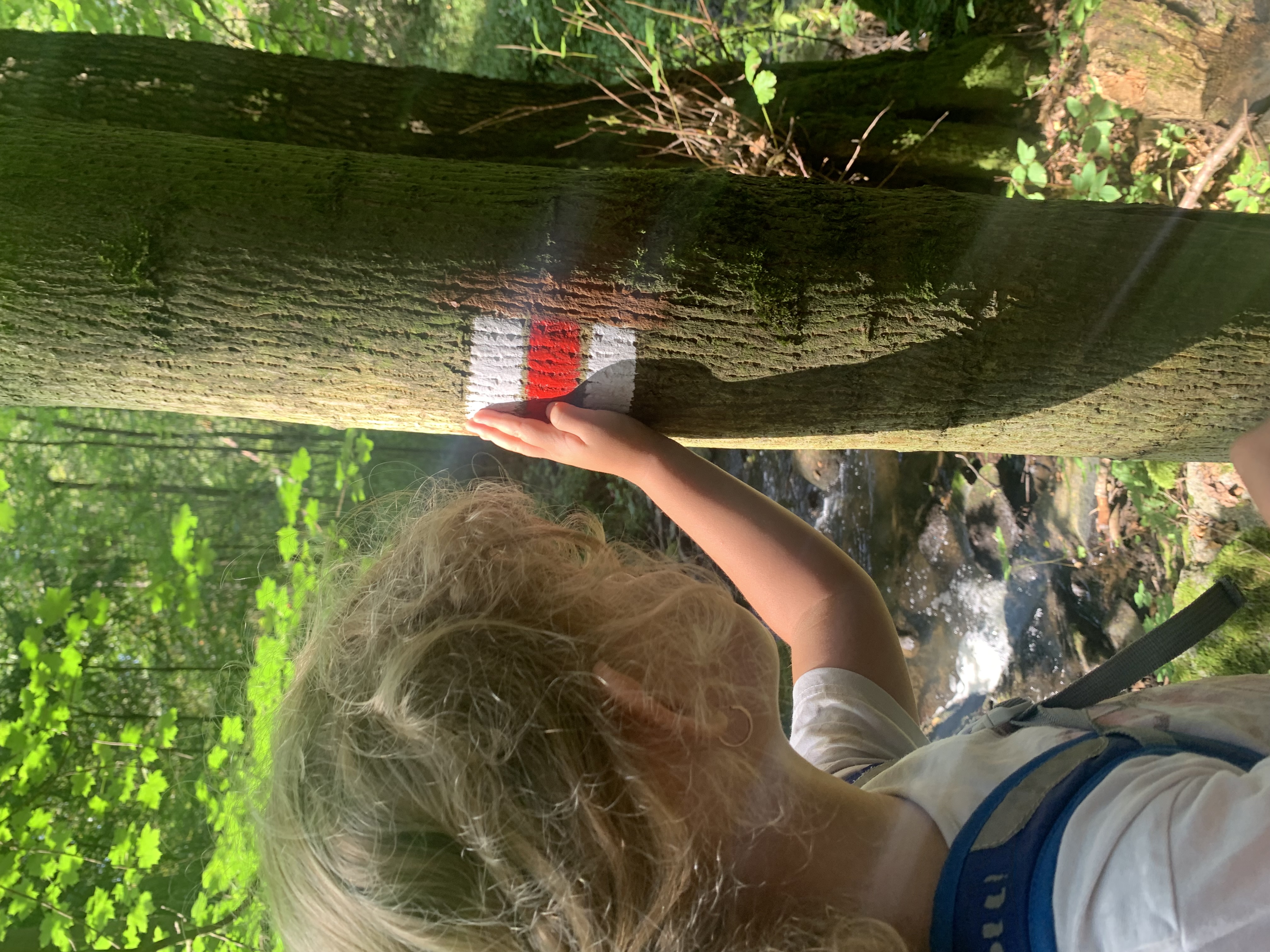 Dítě pozoruje turistickou značku