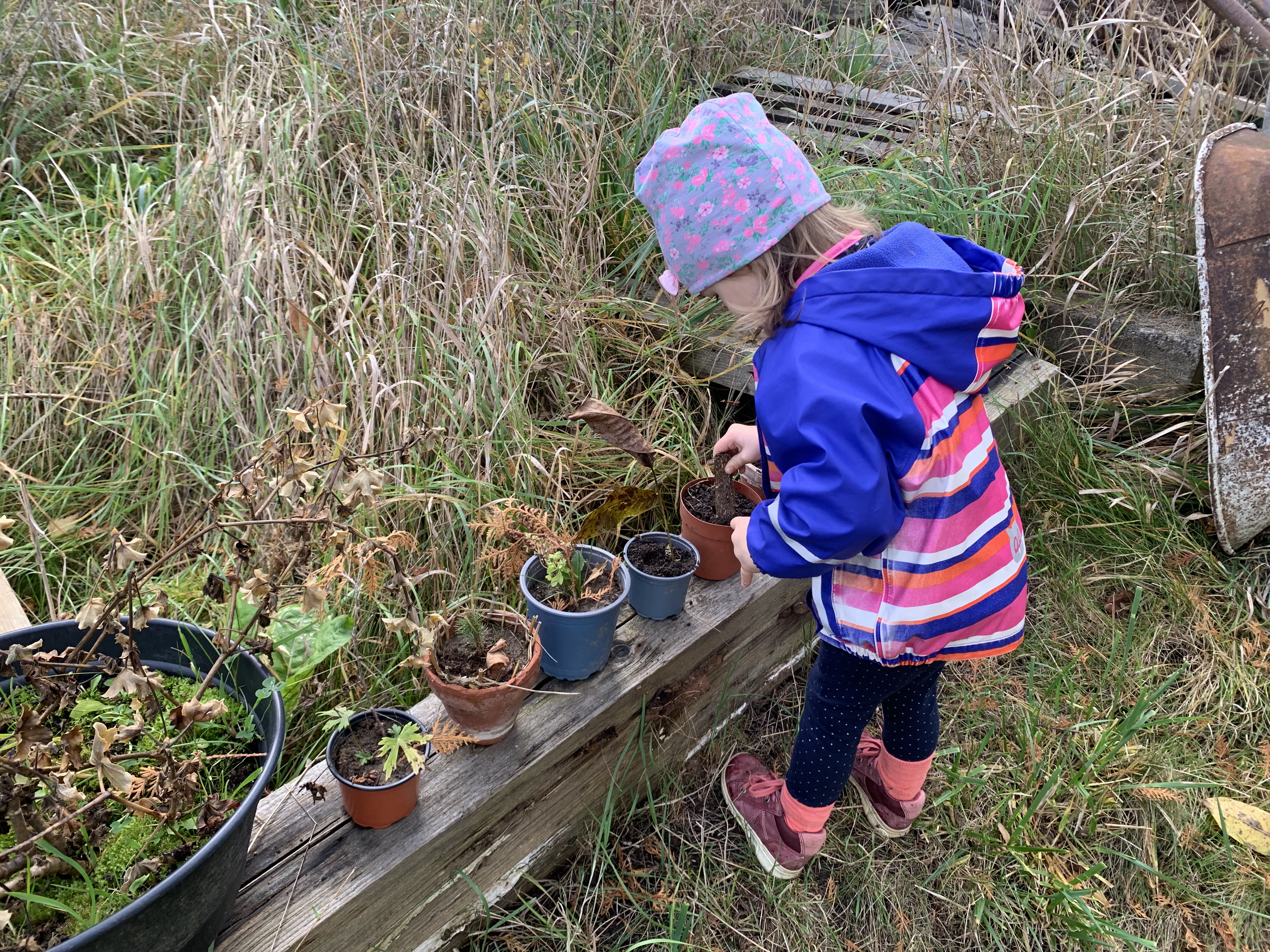 Dítě pěstuje květiny